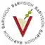 Barvision logo